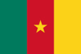 Camerún Bandera nacional